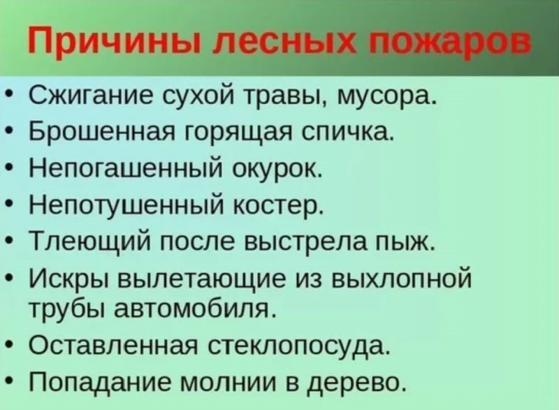 Prichiny lesnyh pozharov 2
