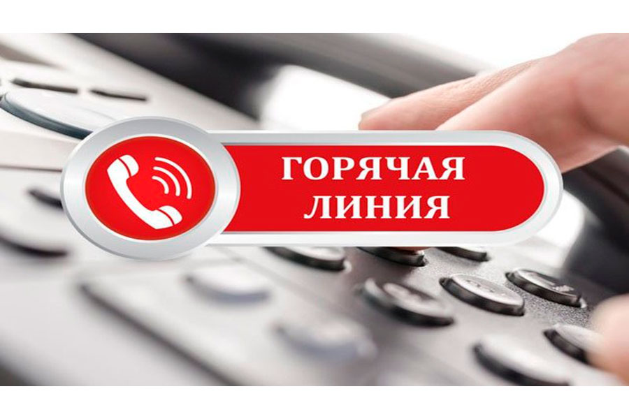 hotline